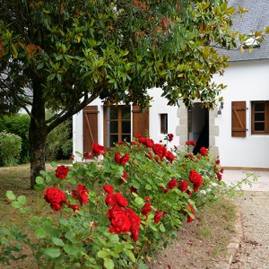 La Villa de la Plage et son jardin